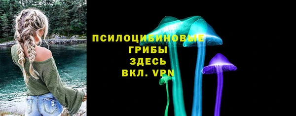 твердый Михайловск